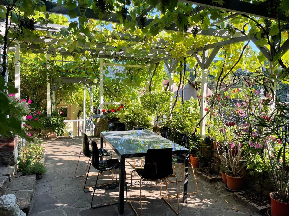 Am Berggarten Heidelberg Exteriör bild