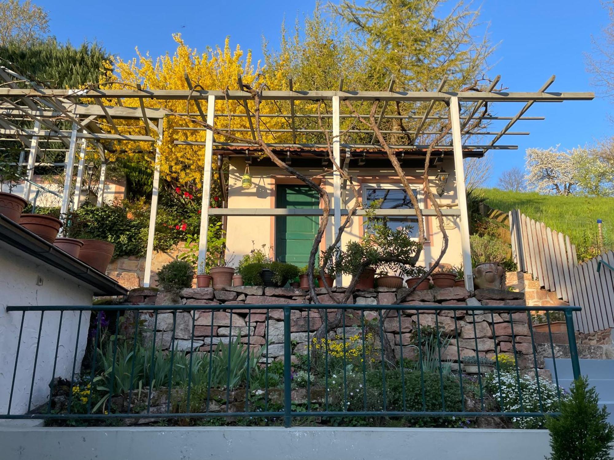 Am Berggarten Heidelberg Exteriör bild