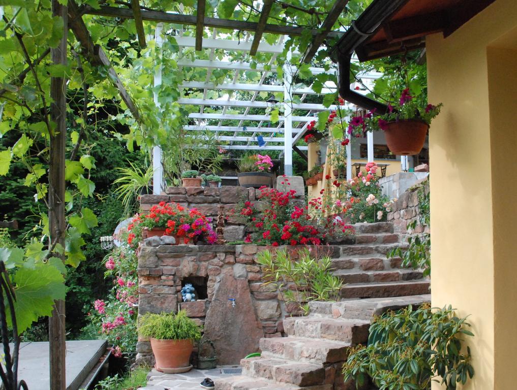 Am Berggarten Heidelberg Exteriör bild