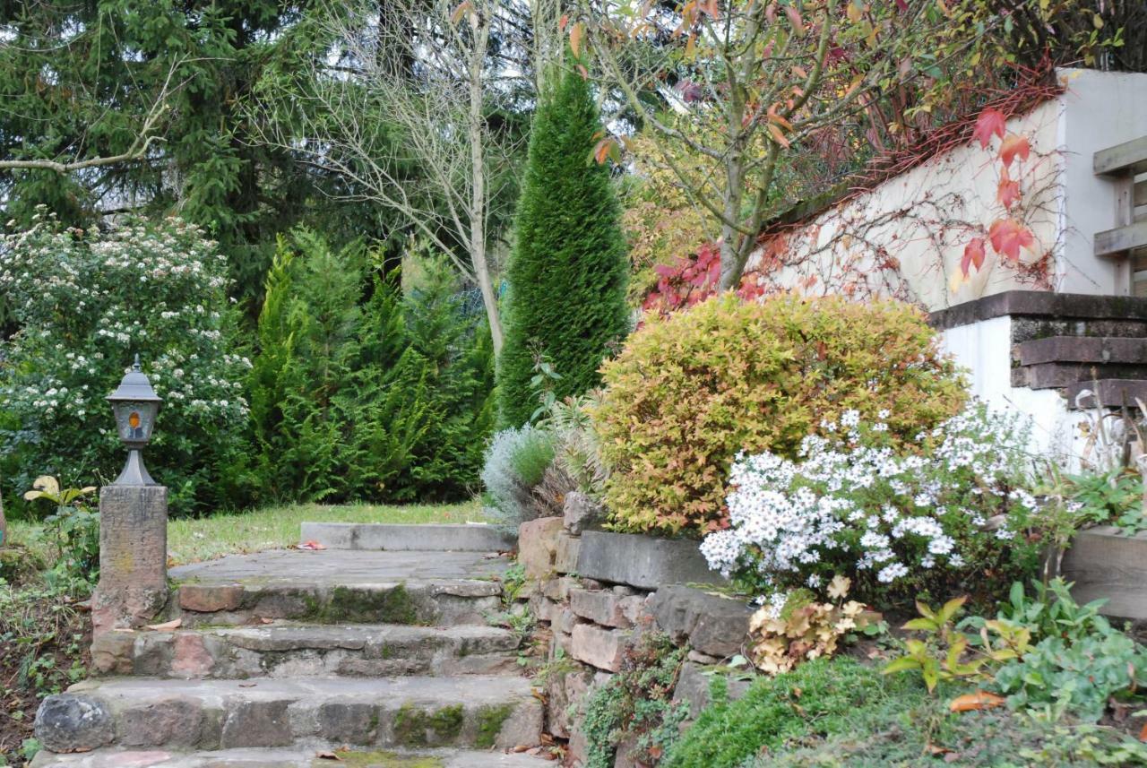 Am Berggarten Heidelberg Exteriör bild