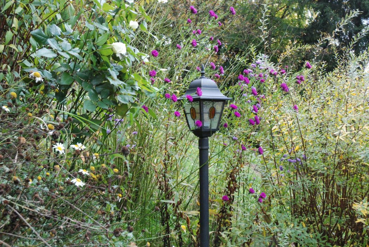 Am Berggarten Heidelberg Exteriör bild