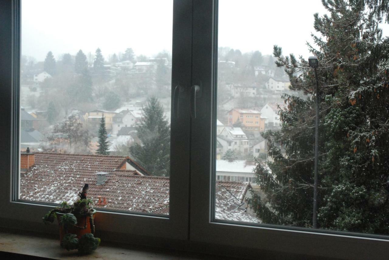 Am Berggarten Heidelberg Exteriör bild