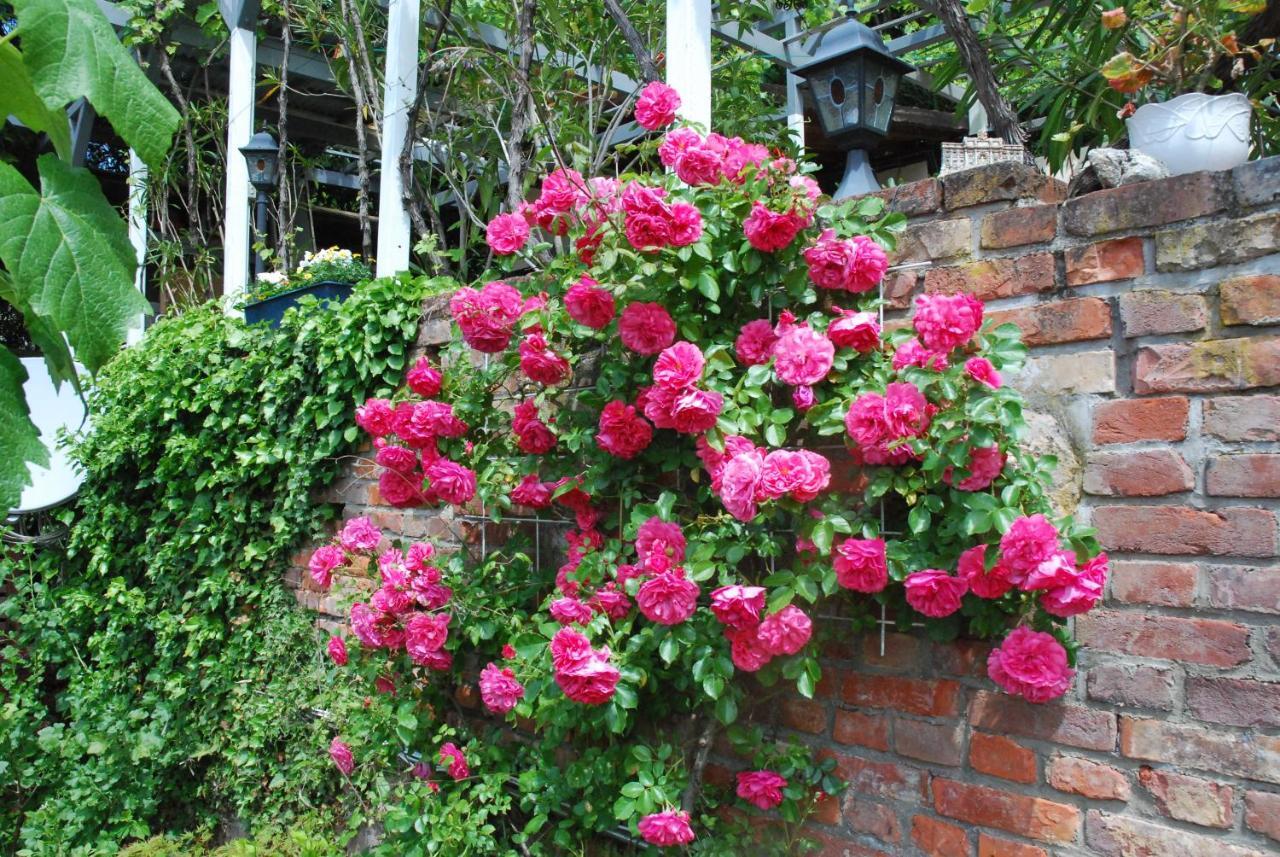 Am Berggarten Heidelberg Exteriör bild